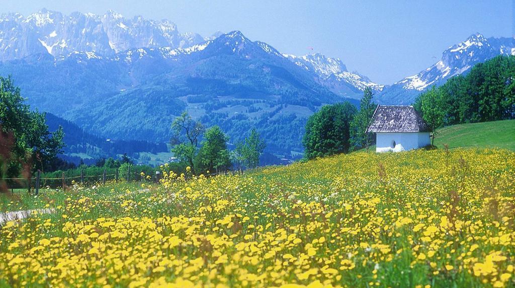 Berg Hotel Weingarten Garni Rimsting Ruang foto